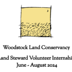 Woodstock Land Conservancy Land Steward Volunteer Internship